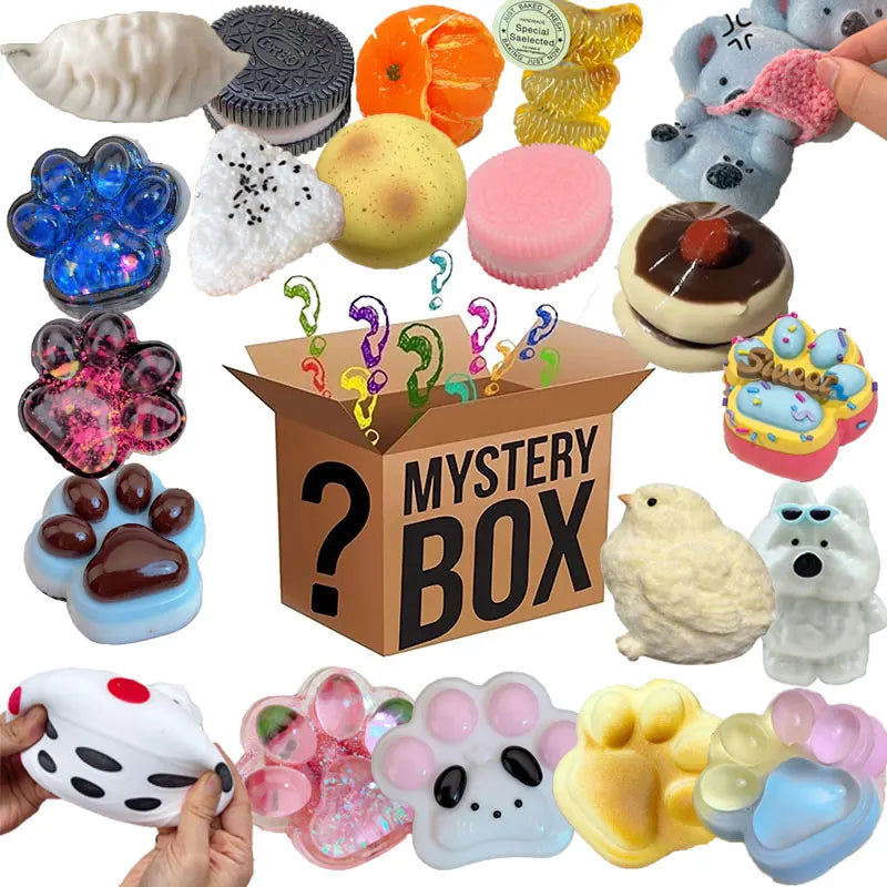 Mystery Fidget Toys